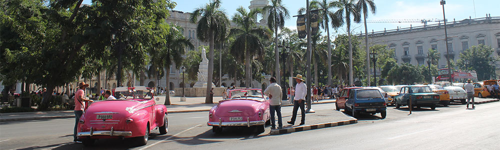 Am Nachmittag unternehme ich eine Oldtimertour und wir fahren zum Revolutionsplatz